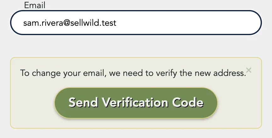 The Email field with a new address and the Send Verification Code box under it