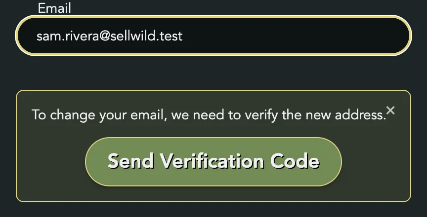 The Email field with a new address and the Send Verification Code box under it