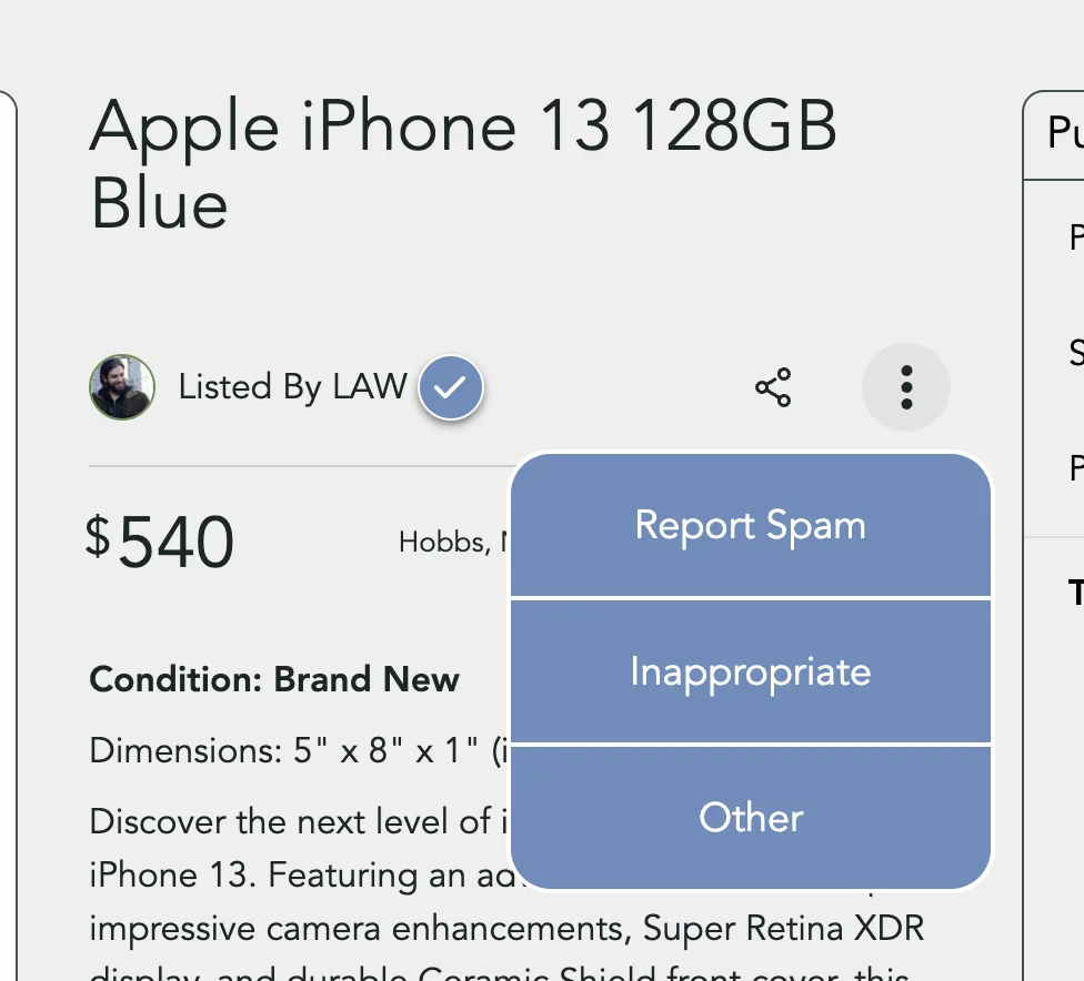 The report menu with Report Spam, Inappropriate and Other