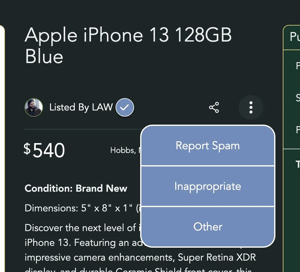 The report menu with Report Spam, Inappropriate and Other